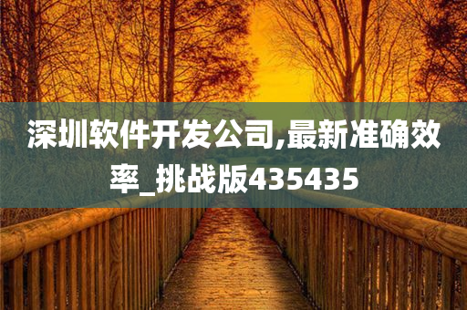 深圳软件开发公司,最新准确效率_挑战版435435