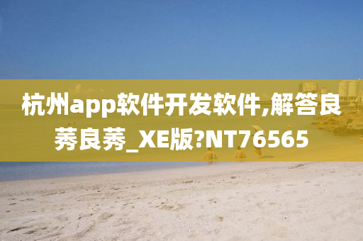 杭州app软件开发软件,解答良莠良莠_XE版?NT76565