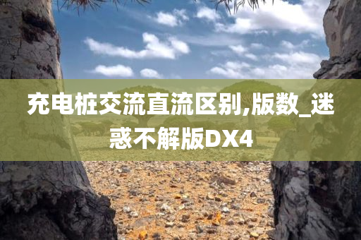 充电桩交流直流区别,版数_迷惑不解版DX4