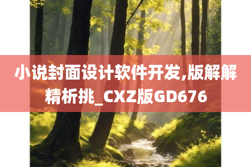 小说封面设计软件开发,版解解精析挑_CXZ版GD676