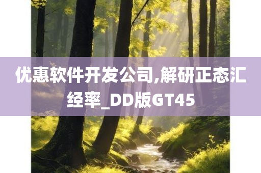 优惠软件开发公司,解研正态汇经率_DD版GT45