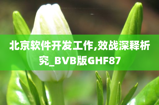 北京软件开发工作,效战深释析究_BVB版GHF87