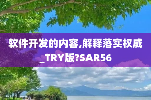 软件开发的内容,解释落实权威_TRY版?SAR56