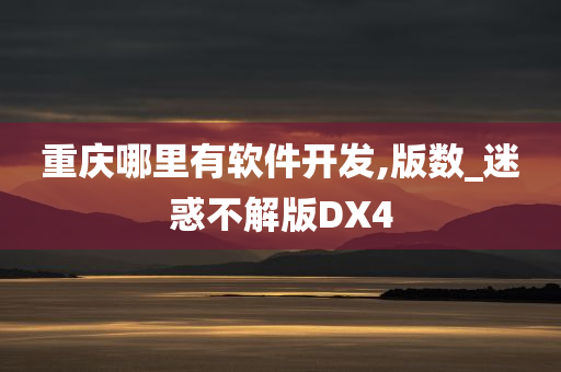 重庆哪里有软件开发,版数_迷惑不解版DX4