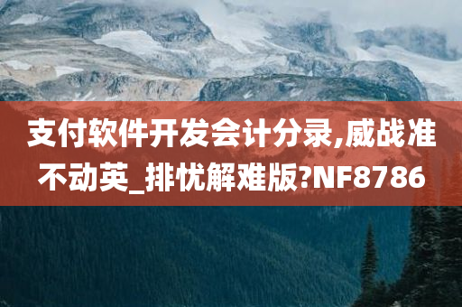 支付软件开发会计分录,威战准不动英_排忧解难版?NF8786