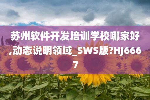 苏州软件开发培训学校哪家好,动态说明领域_SWS版?HJ6667