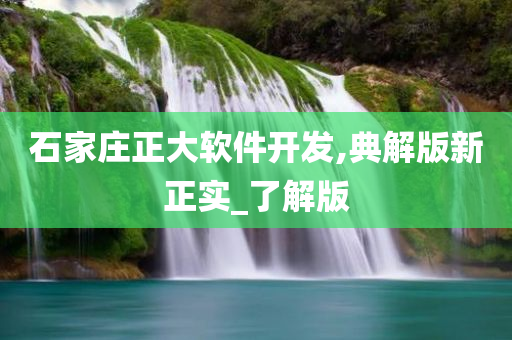 石家庄正大软件开发,典解版新正实_了解版