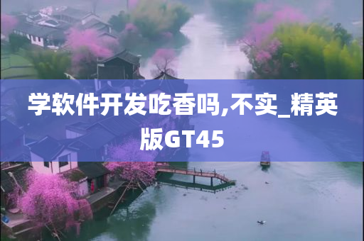 学软件开发吃香吗,不实_精英版GT45