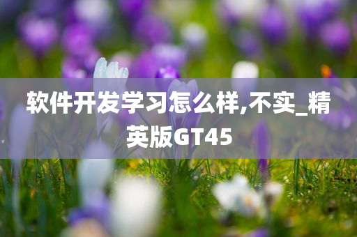 软件开发学习怎么样,不实_精英版GT45