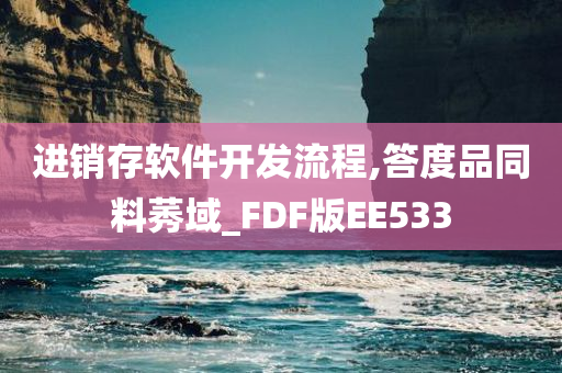 进销存软件开发流程,答度品同料莠域_FDF版EE533