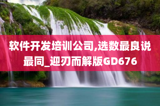 软件开发培训公司,选数最良说最同_迎刃而解版GD676