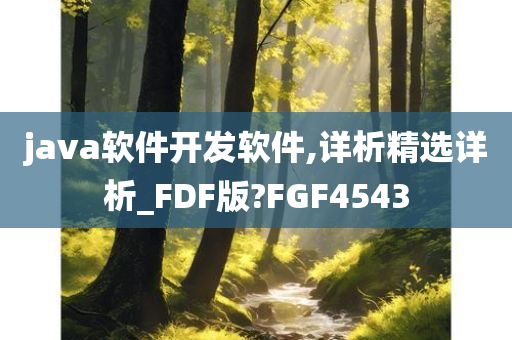 java软件开发软件,详析精选详析_FDF版?FGF4543