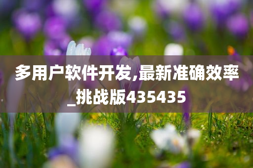 多用户软件开发,最新准确效率_挑战版435435