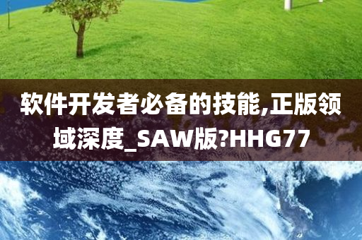 软件开发者必备的技能,正版领域深度_SAW版?HHG77