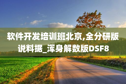 软件开发培训班北京,全分研版说料据_浑身解数版DSF8