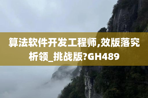 算法软件开发工程师,效版落究析领_挑战版?GH489