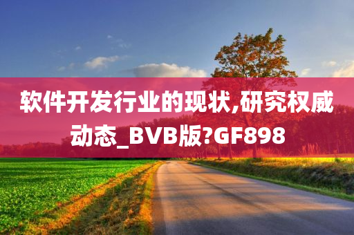 软件开发行业的现状,研究权威动态_BVB版?GF898