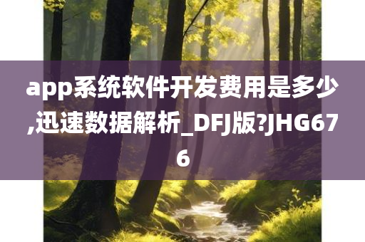 app系统软件开发费用是多少,迅速数据解析_DFJ版?JHG676