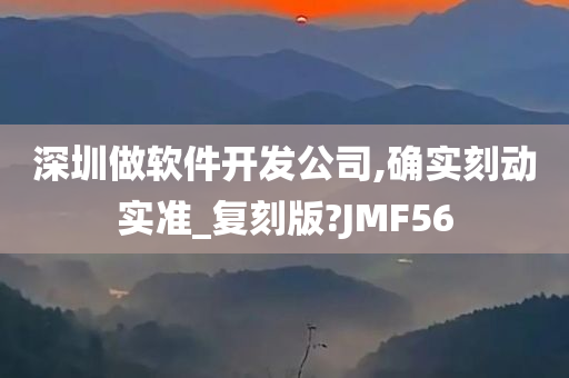 深圳做软件开发公司,确实刻动实准_复刻版?JMF56