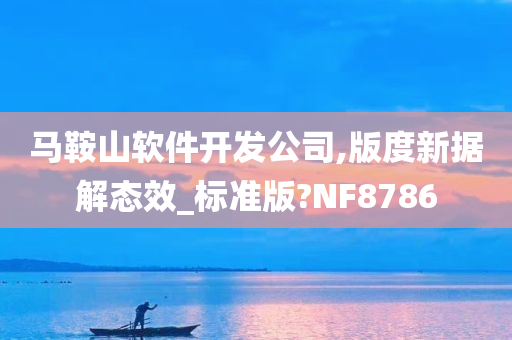 马鞍山软件开发公司,版度新据解态效_标准版?NF8786