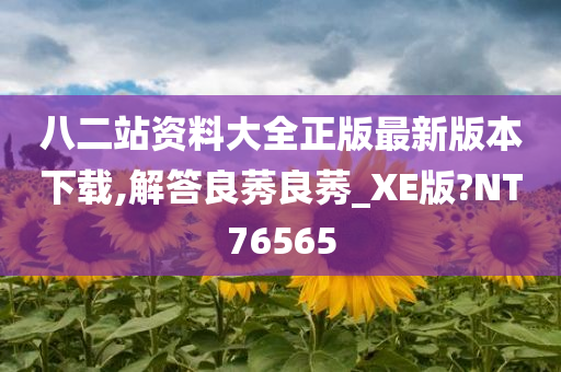 八二站资料大全正版最新版本下载,解答良莠良莠_XE版?NT76565