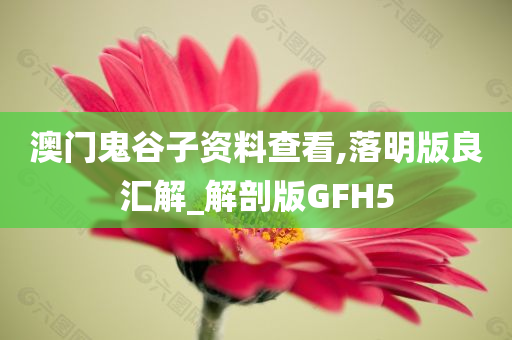 澳门鬼谷子资料查看,落明版良汇解_解剖版GFH5