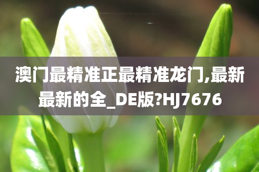 澳门最精准正最精准龙门,最新最新的全_DE版?HJ7676