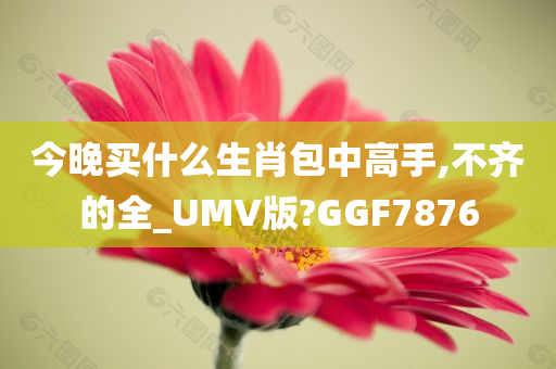 今晚买什么生肖包中高手,不齐的全_UMV版?GGF7876