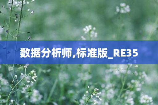 数据分析师,标准版_RE35