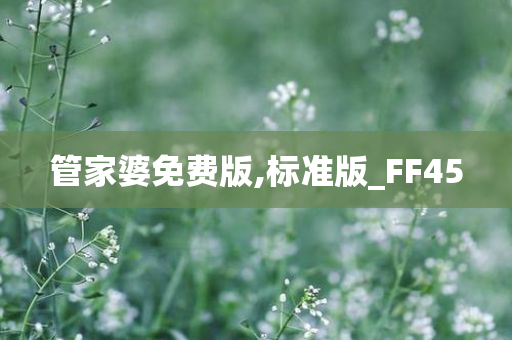 管家婆免费版,标准版_FF45