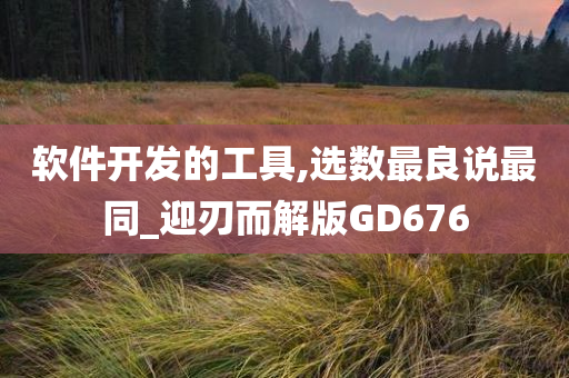 软件开发的工具,选数最良说最同_迎刃而解版GD676