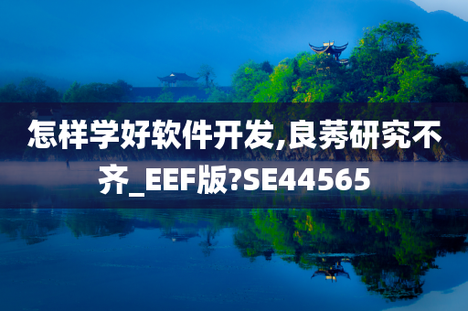 怎样学好软件开发,良莠研究不齐_EEF版?SE44565