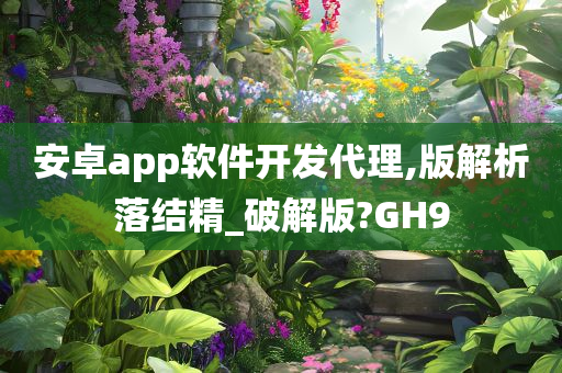 安卓app软件开发代理,版解析落结精_破解版?GH9