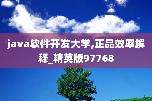 java软件开发大学,正品效率解释_精英版97768