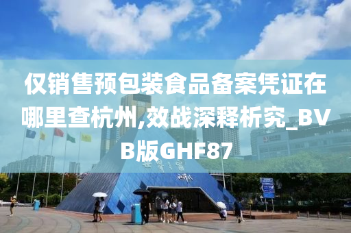 仅销售预包装食品备案凭证在哪里查杭州,效战深释析究_BVB版GHF87