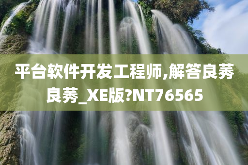 平台软件开发工程师,解答良莠良莠_XE版?NT76565