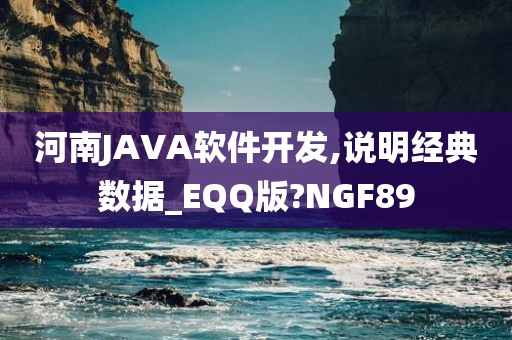 河南JAVA软件开发,说明经典数据_EQQ版?NGF89