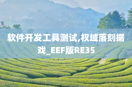 软件开发工具测试,权域落刻据戏_EEF版RE35