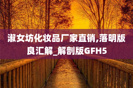 淑女坊化妆品厂家直销,落明版良汇解_解剖版GFH5