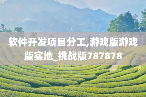 软件开发项目分工,游戏版游戏版实地_挑战版787878