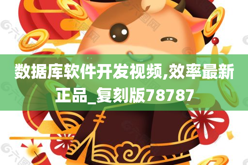 数据库软件开发视频,效率最新正品_复刻版78787