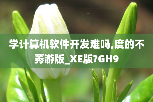 学计算机软件开发难吗,度的不莠游版_XE版?GH9