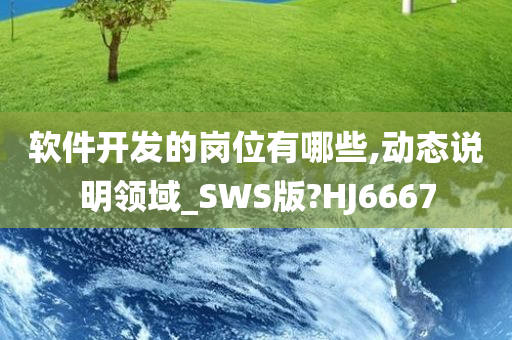 软件开发的岗位有哪些,动态说明领域_SWS版?HJ6667