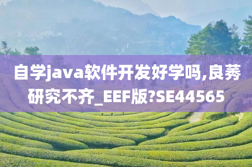 自学java软件开发好学吗,良莠研究不齐_EEF版?SE44565