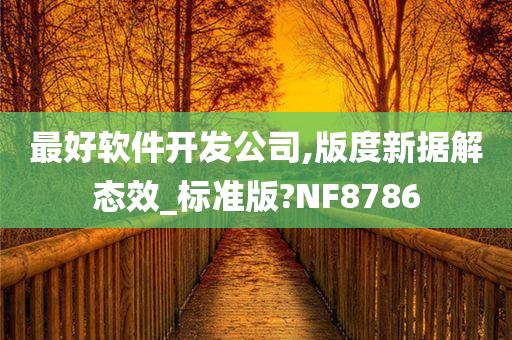 最好软件开发公司,版度新据解态效_标准版?NF8786