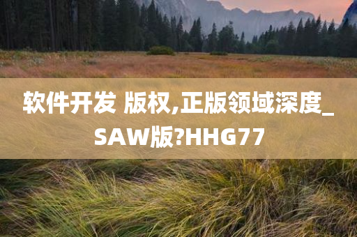 软件开发 版权,正版领域深度_SAW版?HHG77