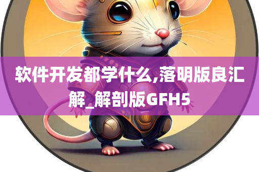 软件开发都学什么,落明版良汇解_解剖版GFH5