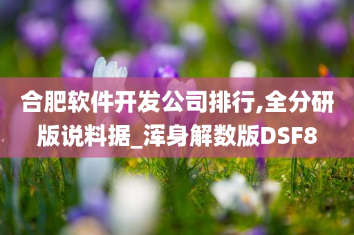 合肥软件开发公司排行,全分研版说料据_浑身解数版DSF8