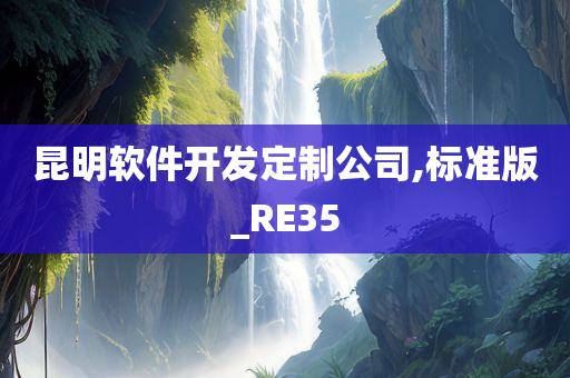 昆明软件开发定制公司,标准版_RE35