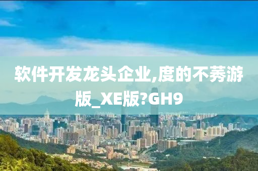 软件开发龙头企业,度的不莠游版_XE版?GH9